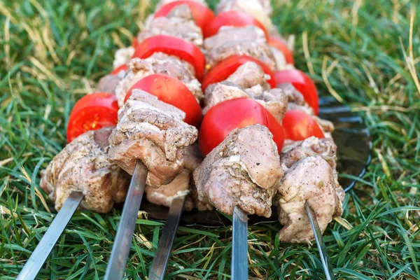 Barbecue roasted meat kebab hot grill, good snack outdoor picnic — Stock Photo, Image