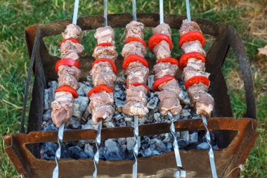Kavrulmuş et kebabı sıcak mangal, iyi aperatif açık piknik