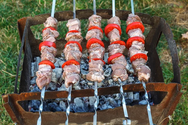 Kavrulmuş et kebabı sıcak mangal, iyi aperatif açık piknik — Stok fotoğraf