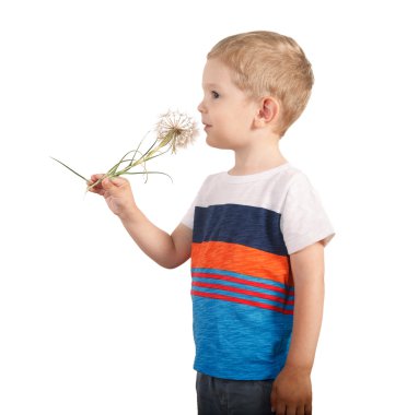 Dev karahindiba tutan çocuk yürümek. beyaz izole