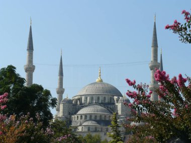 İstanbul şehri. Hindi. 04.10.2014 Sultanahmet Camii Mavi gökyüzü arkaplanındaki çiçeklerle çerçevelenmiştir