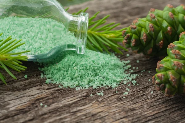 Aroma de la madera. cono de árbol  . — Foto de Stock