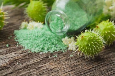 Yeşil banyo tuzu. Kestane meyveleri. 