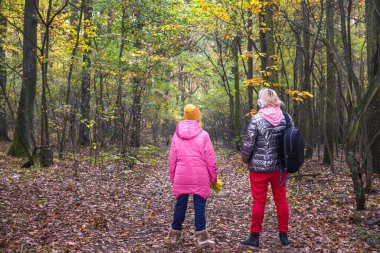 Anne ve kızı sonbahar ormanlarında yürür, hava solarlar.