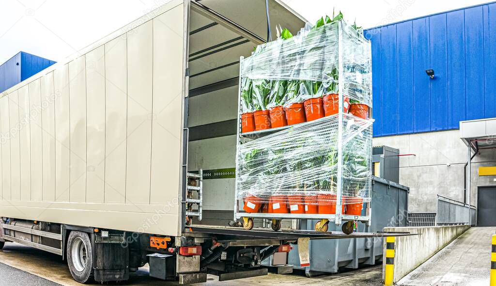truck delivered flowers in pots, transport logistics in Europe