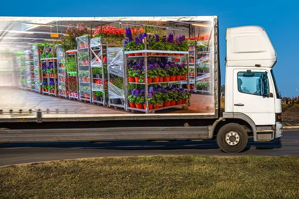 Truck Delivered Flowers Pots Transport Logistics Europe — Stock Photo, Image