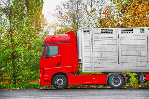 Special truck and trailer . A trailer animal transport .