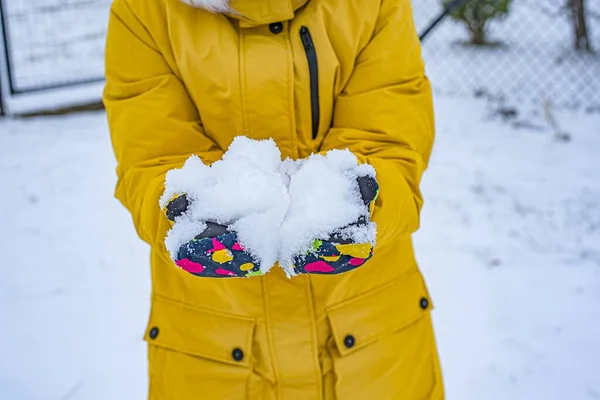 Hände Handschuhen Halten Schnee Hintergrund Der Winterbekleidung — Stockfoto