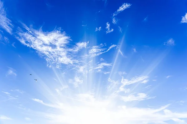 blue sky sun, birds. background of religion