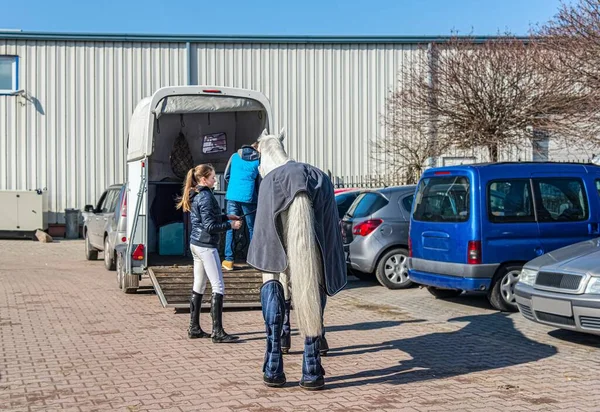 Hästfordon Transport För Hästar Släpvagnshäst Sport Hästar Trailern För Resan — Stockfoto