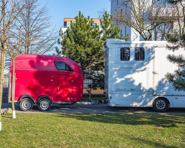 Horse vehicle . Carriage for horses . Auto trailer horse trailer. Sport horses are in the trailer for the trip on competitions.