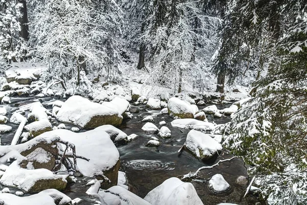 Krajobraz Naturalny Zimowy Wodospad Lesie — Zdjęcie stockowe