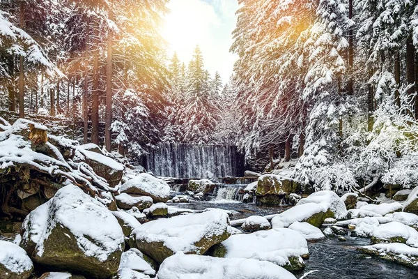 Naturlandskap Vintervattenfall Skogen — Stockfoto