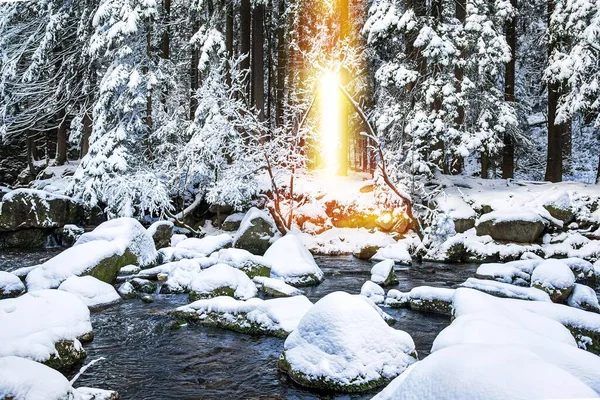 Ljus Slutet Resan Bakgrund Religion Ljus Stråle Mot Bakgrund Vintern — Stockfoto