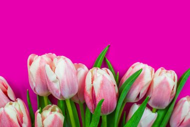 Masadaki güzel laleler. bahar çiçekleri