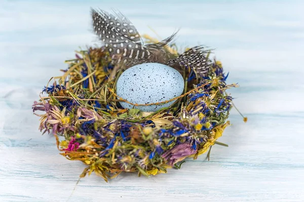 Щасливого Великодня Різного Кольору Яйце Гнізді — стокове фото