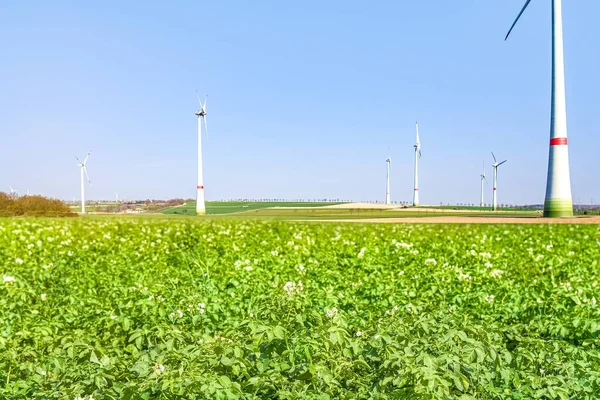 Geradores Vento Campo Energia Natureza — Fotografia de Stock