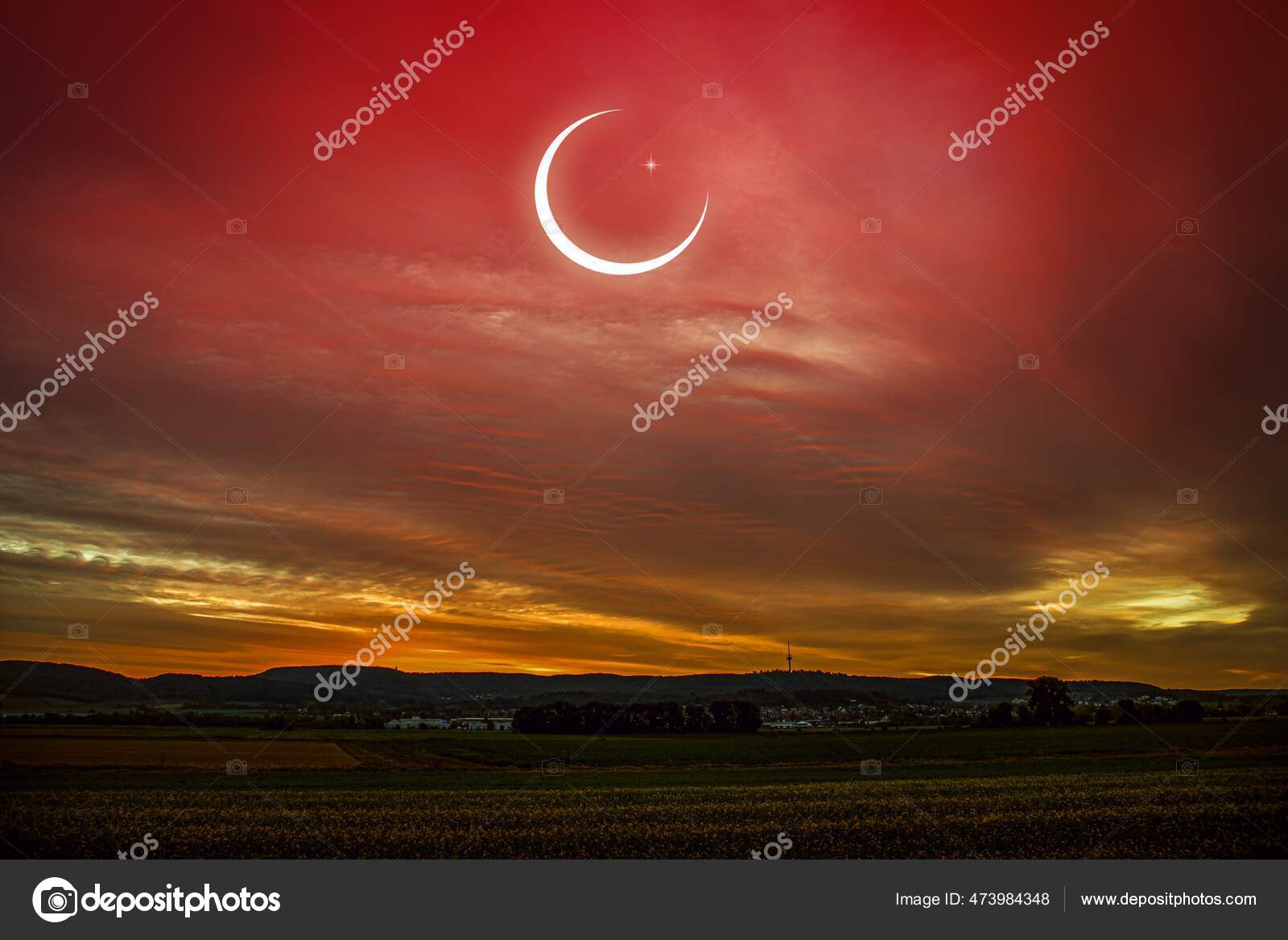 lukisan bulan sabit merah malaysia - Rachel Lopez
