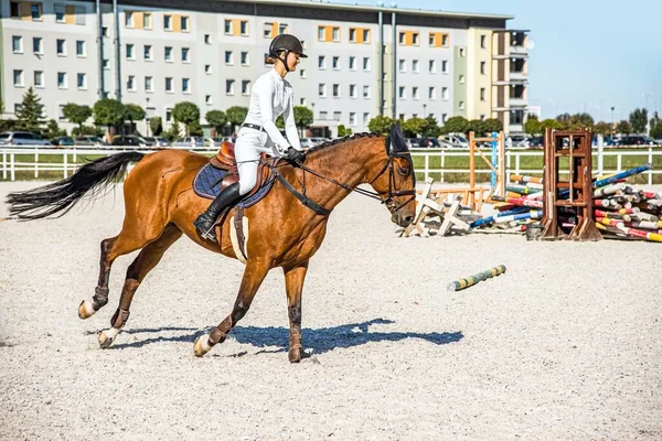 ジョッキーは馬に乗って馬に乗って馬に乗って — ストック写真