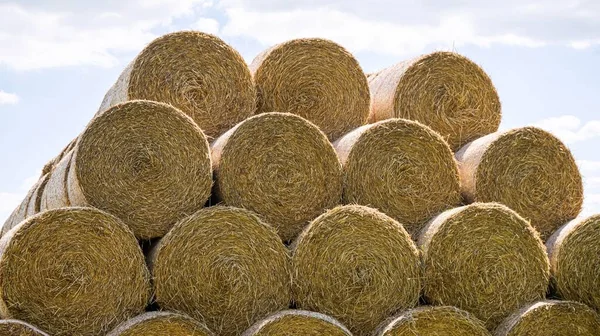 Large Bales Straw Hay Folded Pyramid — Stock Photo, Image