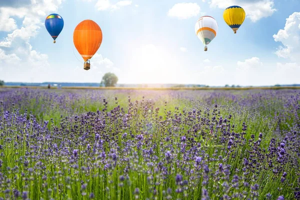 Ballon Auf Dem Hintergrund Von Himmel Und Lavendelfeld — Stockfoto