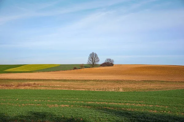 Paisagem Durante Dia Campo Fundo Céu Campo Fundo Céu Uma — Fotografia de Stock