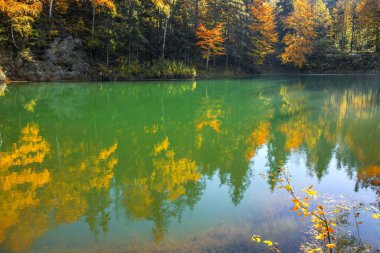 Sonbahar manzarasının sularındaki yansıma