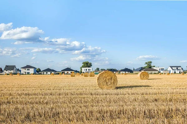 Field Beveled Wheat Background Rural Houses — Stock Photo, Image