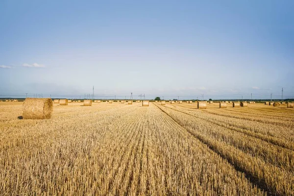 Field Beveled Wheat Background Rural Houses — Stock Photo, Image