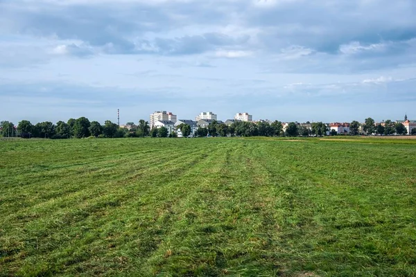 Paysage Champ Ciel Dehors Ville — Photo