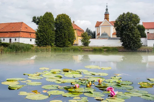 Flores Loto Rosa Flores Lirio Agua Paisaje Con Lago Iglesia — Foto de Stock