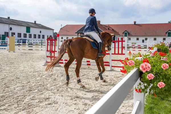 Jeździec Konny Piękne Stadnina Koni Kwiatami — Zdjęcie stockowe