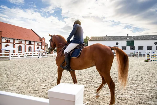 Jeździec Konny Piękny Koń Jazdy Konnej Sporcie Jeździeckim — Zdjęcie stockowe