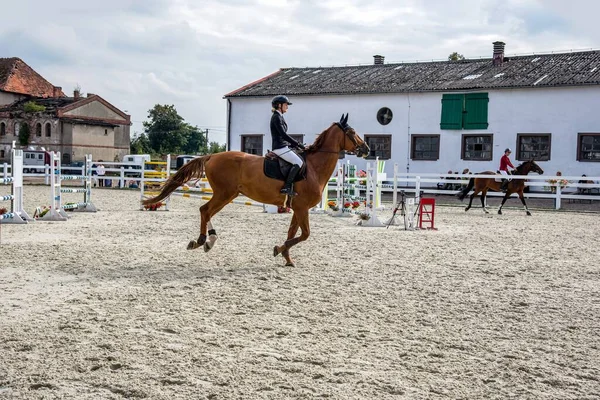 Piękny Koń Farmie Dżokej Siodle Jeździec — Zdjęcie stockowe