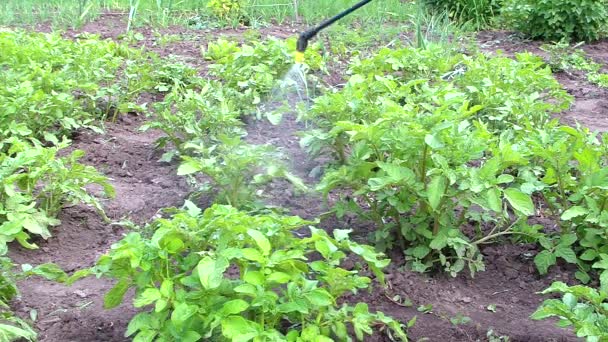 Control de plagas en un huerto — Vídeos de Stock