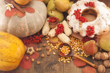 Pumpkin and other vegetables on a table. crop holiday.