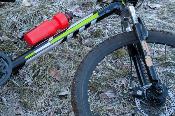 wheel of the mountain bicycle with disk brakes.