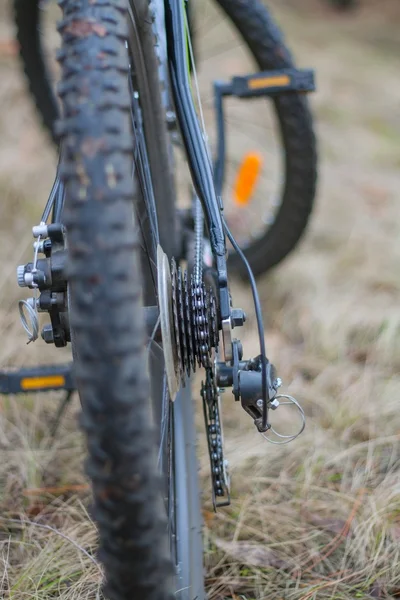 Roda da bicicleta esportiva — Fotografia de Stock
