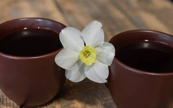 Dos Tazas Con Café Mesa Desayuno Para Dos Flor Narciso Imágenes De Stock Sin Royalties Gratis