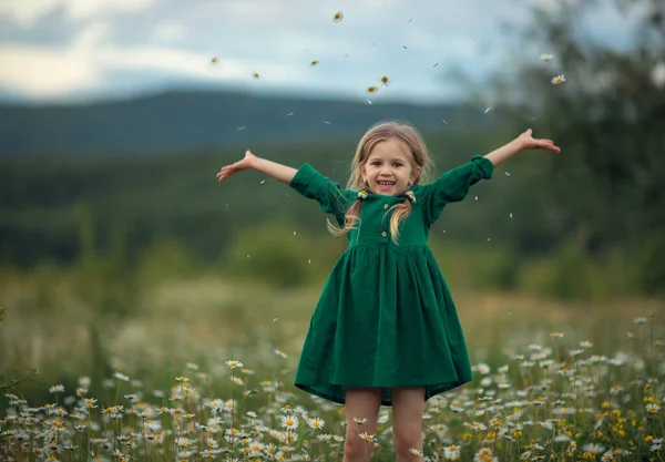 Ένα Χαριτωμένο Κοριτσάκι Κοτσίδες Και Ένα Φόρεμα Στέκεται Ένα Πεδίο — Φωτογραφία Αρχείου