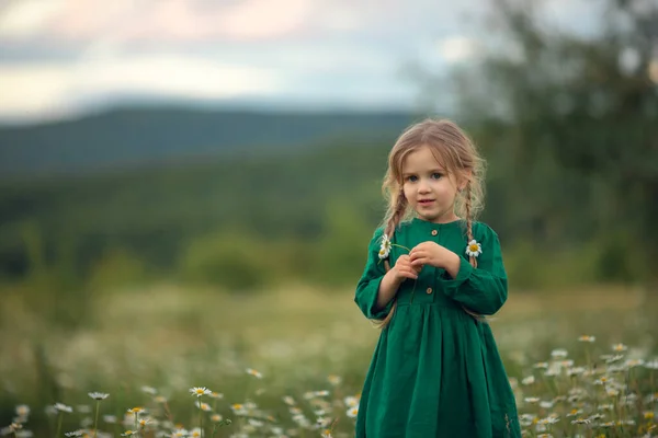 cute little girl with pigtails is guessing on a camomile against a background of green mountains. Summer, childhood, holidays, traveling with children, funny emotions