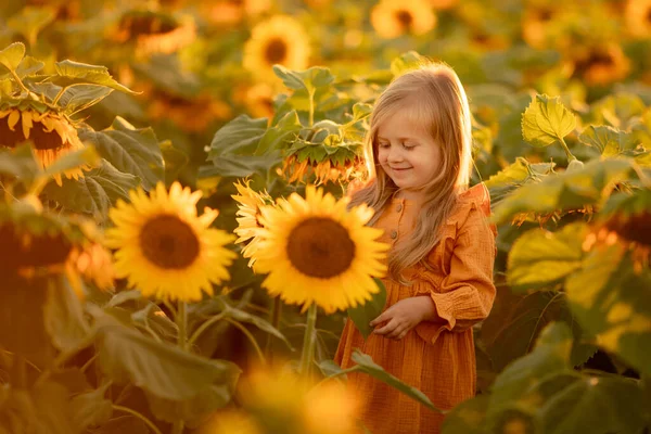 Šťastná Holčička Baví Mezi Kvetoucími Slunečnicemi Pod Paprsky Zapadajícího Slunce — Stock fotografie