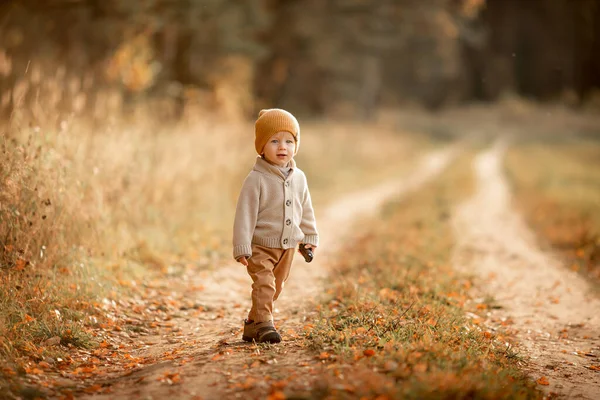 Χαριτωμένο Μικρό Αγόρι Ένα Καπέλο Και Ένα Πλεκτό Πουλόβερ Βόλτες — Φωτογραφία Αρχείου