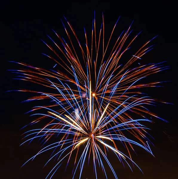 Kara gökyüzünde renkli havai fişekler