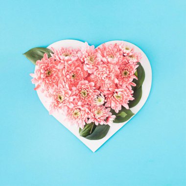 Kalp şeklinde mercan çiçekleri. Mavi arkaplanda asgari ilkbahar hikayesi