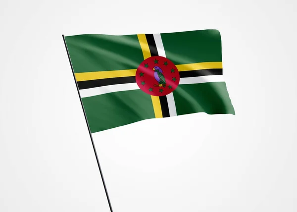 İzole arka planda Dominica bayrağı dalgalanıyor. 3 Kasım Dominica bağımsızlık günü. Dünya bayrağı koleksiyonu dünya bayrağı koleksiyonu