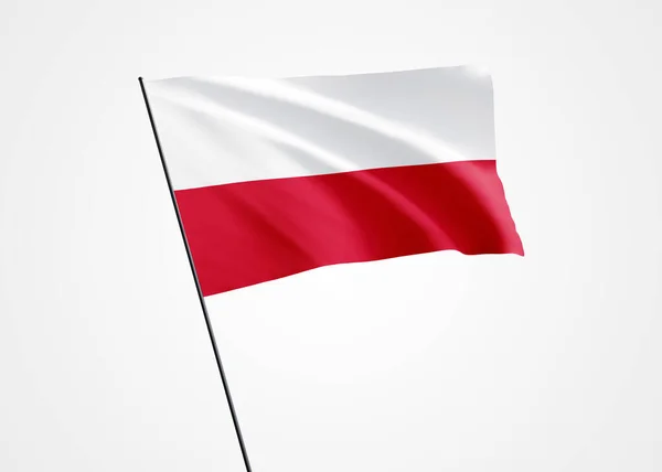 Drapeau Pologne Flottant Haut Dans Arrière Plan Isolé Novembre Jour — Photo