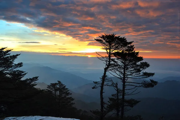 Şafak sökerken, güneş dağın tepesinden yükselir bulutlar fevkalade, sıcak bir ışıkla aydınlatılır. Arka planda çam ağacı vardır..