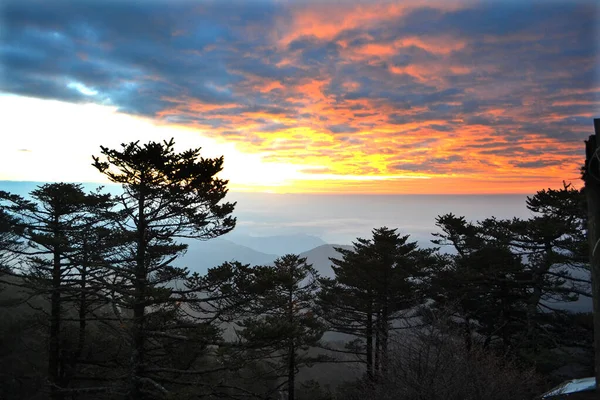 Şafak sökerken, güneş dağın tepesinden yükselir bulutlar fevkalade, sıcak bir ışıkla aydınlatılır. Arka planda çam ağacı vardır..
