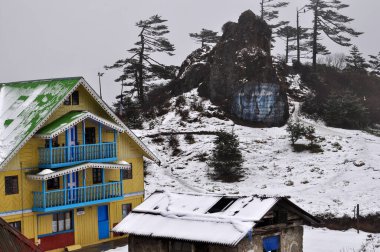 Parlak görünümlü, parlak mavi, yeşil, karla kaplı bir kulübe.